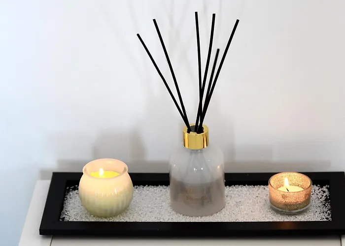 House 몬뜨고르두